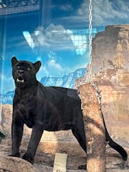 天王寺動物園に投稿された画像(2026/2/1)