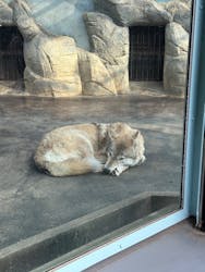天王寺動物園に投稿された画像(2026/2/2)