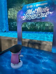 サンシャイン水族館に投稿された画像(2026/2/2)