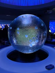 新江ノ島水族館に投稿された画像(2026/2/2)