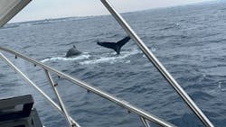 JAM(ジャム)マリンクラブに投稿された画像(2026/2/2)