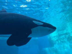 名古屋港水族館に投稿された画像(2026/2/3)