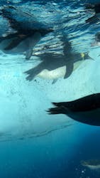 名古屋港水族館に投稿された画像(2026/2/3)