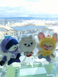 梅田スカイビル・空中庭園展望台に投稿された画像(2026/2/4)