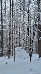 アウトドア外遊び体験ツアー EARTHに投稿された画像(2026/2/8)