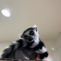 アニタッチみなとみらいに投稿された画像(2026/2/9)