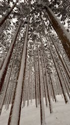 アストラル・オレンジに投稿された画像(2026/2/9)