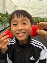 熱田農園Strawberry54に投稿された画像(2026/2/11)