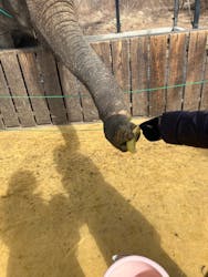 那須ワールドモンキーパークに投稿された画像(2026/2/11)