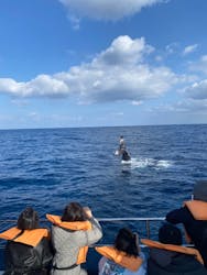 JAM(ジャム)マリンクラブに投稿された画像(2026/2/12)