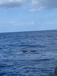 JAM(ジャム)マリンクラブに投稿された画像(2026/2/12)