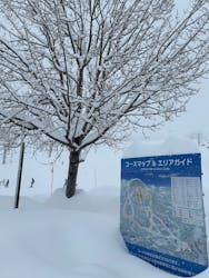 キューピットバレイに投稿された画像(2026/2/12)