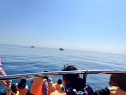 マリンクラブ ベリー 那覇店に投稿された画像(2026/2/14)