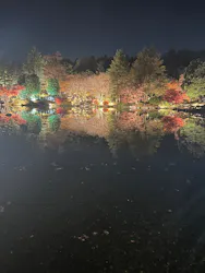 国営昭和記念公園 秋の夜散歩に投稿された画像(2026/2/15)