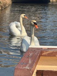 小江戸さわら 舟めぐりに投稿された画像(2026/2/15)