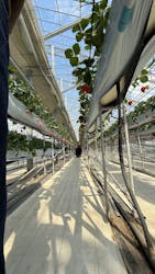 株式会社こまち野に投稿された画像(2026/2/15)