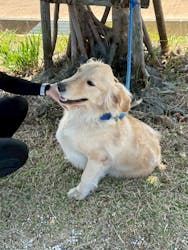 沖縄マリンサービスTI.OCEANに投稿された画像(2026/2/15)