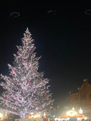 Christmas Market in 横浜赤レンガ倉庫 2025に投稿された画像(2026/2/16)