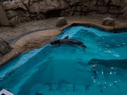 マリンワールド海の中道に投稿された画像(2026/2/16)