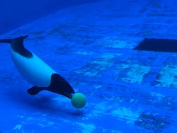 仙台うみの杜水族館に投稿された画像(2026/2/16)