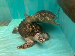 仙台うみの杜水族館に投稿された画像(2026/2/16)