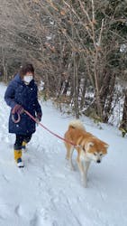 一般社団法人ヘルスケアデザイン秋田に投稿された画像(2026/2/17)