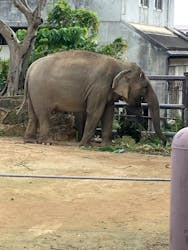 沖縄こどもの国に投稿された画像(2026/2/17)