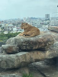 沖縄こどもの国に投稿された画像(2026/2/17)