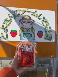 とよさんファームいちご園に投稿された画像(2026/2/17)