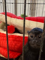 アニタッチみなとみらいに投稿された画像(2026/2/19)