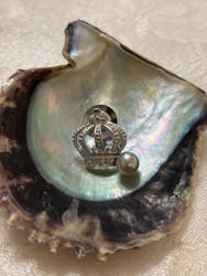 三重県真珠に投稿された画像(2026/2/19)