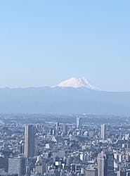 東京タワーに投稿された画像(2026/2/19)