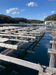 真珠工房 真珠の里に投稿された画像(2026/2/19)