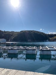 真珠工房 真珠の里に投稿された画像(2026/2/19)