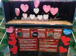 下田海中水族館に投稿された画像(2026/2/20)