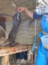 下田海中水族館に投稿された画像(2026/2/20)