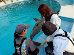 沖縄美ら海水族館(館内体験)に投稿された画像(2026/2/20)