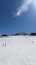 キューピットバレイに投稿された画像(2026/2/21)