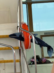 Sea World(シーワールド)に投稿された画像(2026/2/21)