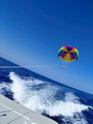 Sea World(シーワールド)に投稿された画像(2026/2/21)