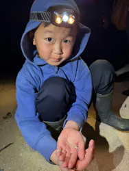 NATURE SHOP PAOに投稿された画像(2026/2/21)