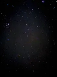 NATURE SHOP PAOに投稿された画像(2026/2/21)