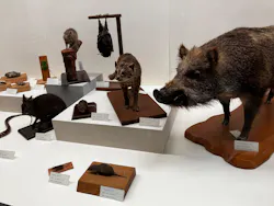 沖縄県立博物館・美術館〔おきみゅー〕に投稿された画像(2026/2/22)