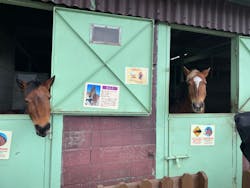 マザー牧場に投稿された画像(2026/2/22)