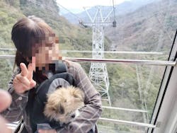 寒霞渓ロープウェイに投稿された画像(2026/2/22)