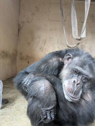 伊豆アニマルキングダムに投稿された画像(2026/2/23)