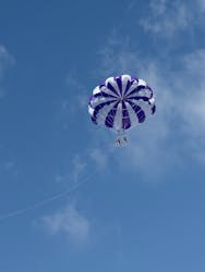 スカイウォーカーに投稿された画像(2026/2/23)