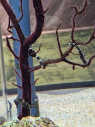 京都水族館に投稿された画像(2026/2/23)