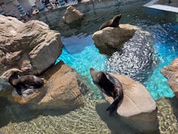 京都水族館に投稿された画像(2026/2/23)