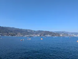 海上釣り 堀太公望に投稿された画像(2026/2/23)